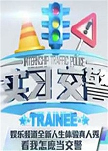 实习交警全集