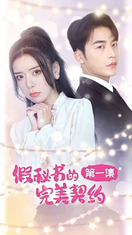 假秘书的完美契约全集