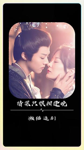 情深只恨相逢晚全集