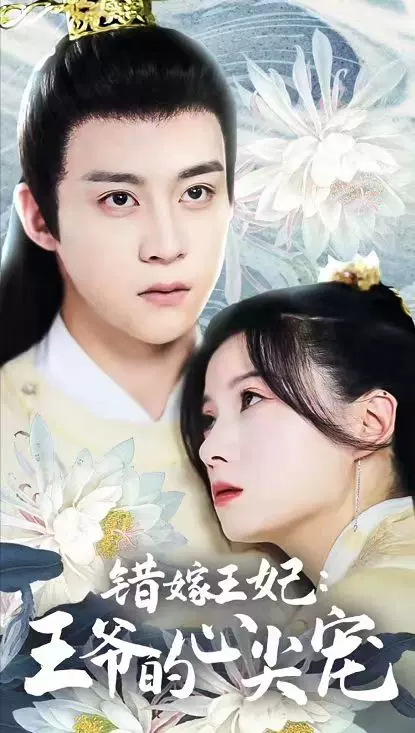 错嫁王妃王爷的心尖宠全集