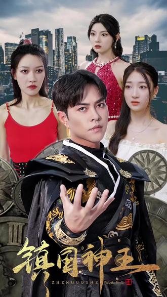 镇国神王全集