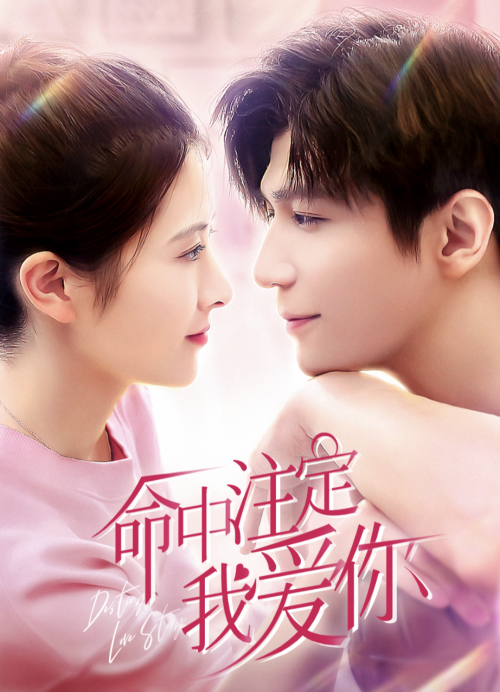 我爱你命中注定全集