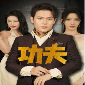 功夫短剧版全集