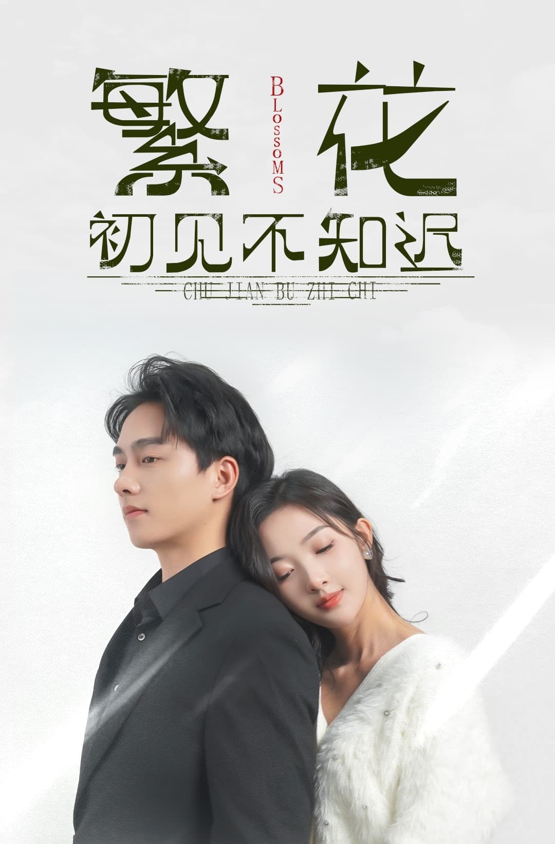 繁花初见不知迟全集