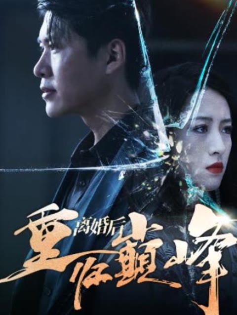 离婚后重回人生巅峰全集