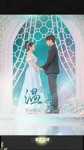 温柔柳甯版全集