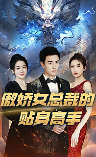 傲娇女总裁的贴身高手全集