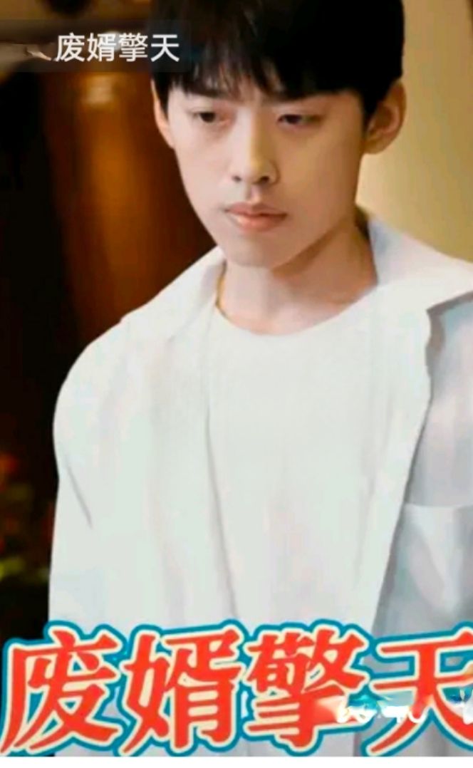 废婿擎天全集