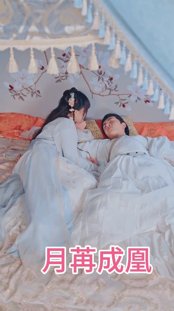 月苒成凰全集