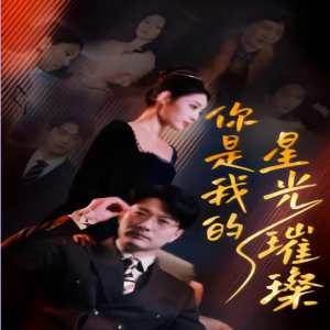 你是我的星光璀璨全集