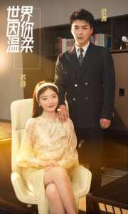 世界因你温柔全集