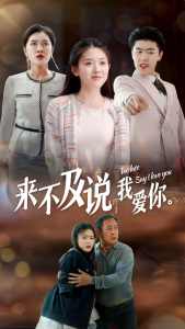 来不及说我爱你短剧全集