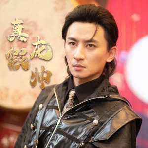 真假龙帅全集