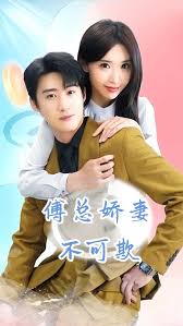 傅总娇妻不可欺全集