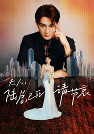 夫人，陆总已死请节哀全集