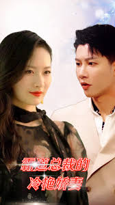 霸道总裁的冷艳娇妻全集