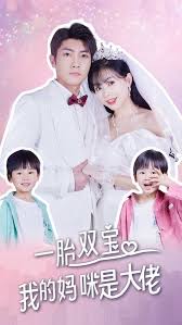 一胎双宝，我的妈咪是大佬全集