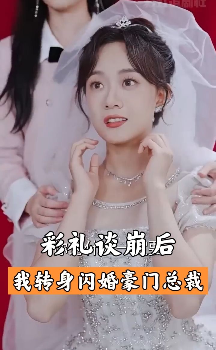 彩礼谈崩后,我闪婚了豪门老公全集