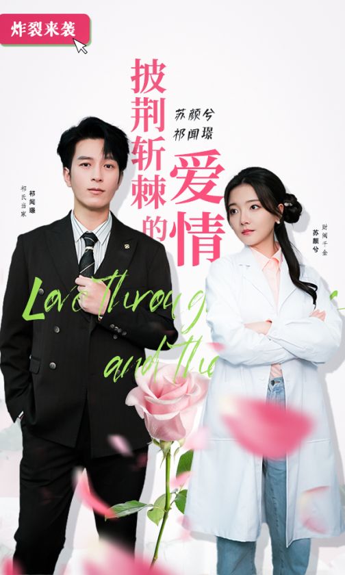 披荆斩棘的爱情全集