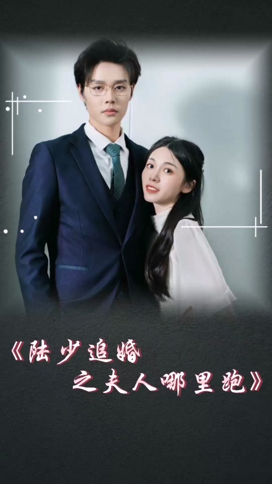 陆少追婚之夫人哪里跑全集