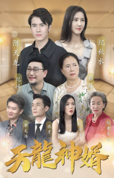 天龙神婿全集
