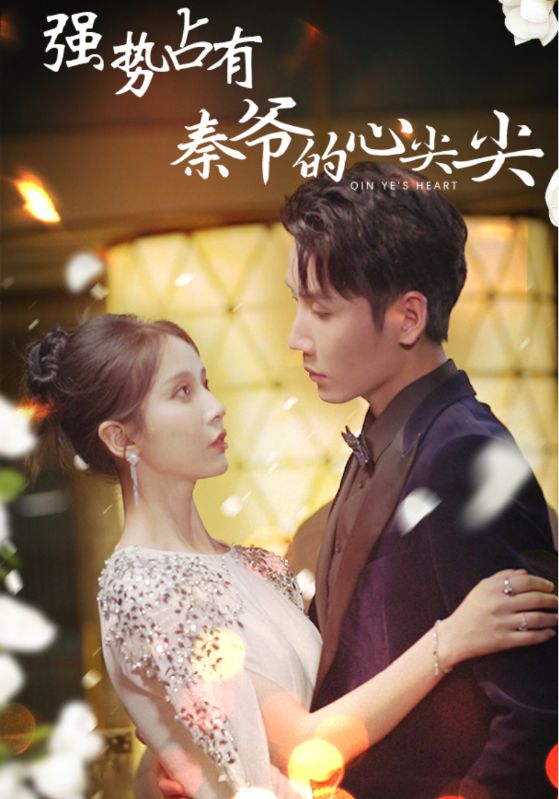 强势占有：秦爷的心尖尖全集