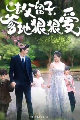 去父留子，爹地狠狠爱全集