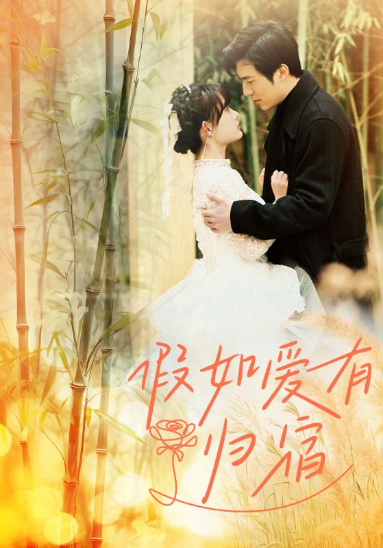 假如爱有归宿全集