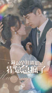 藏起孕肚离职，霍总急疯了全集