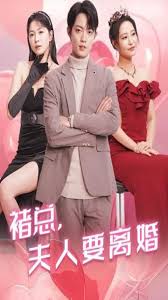 褚总夫人要离婚全集