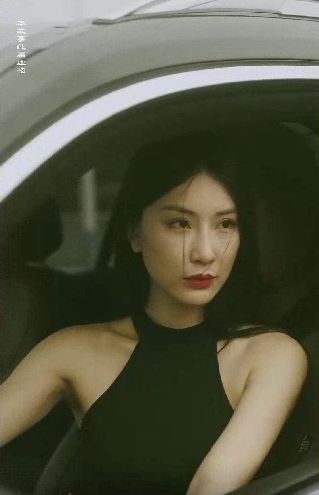 特工凤凰（绝色特工）全集