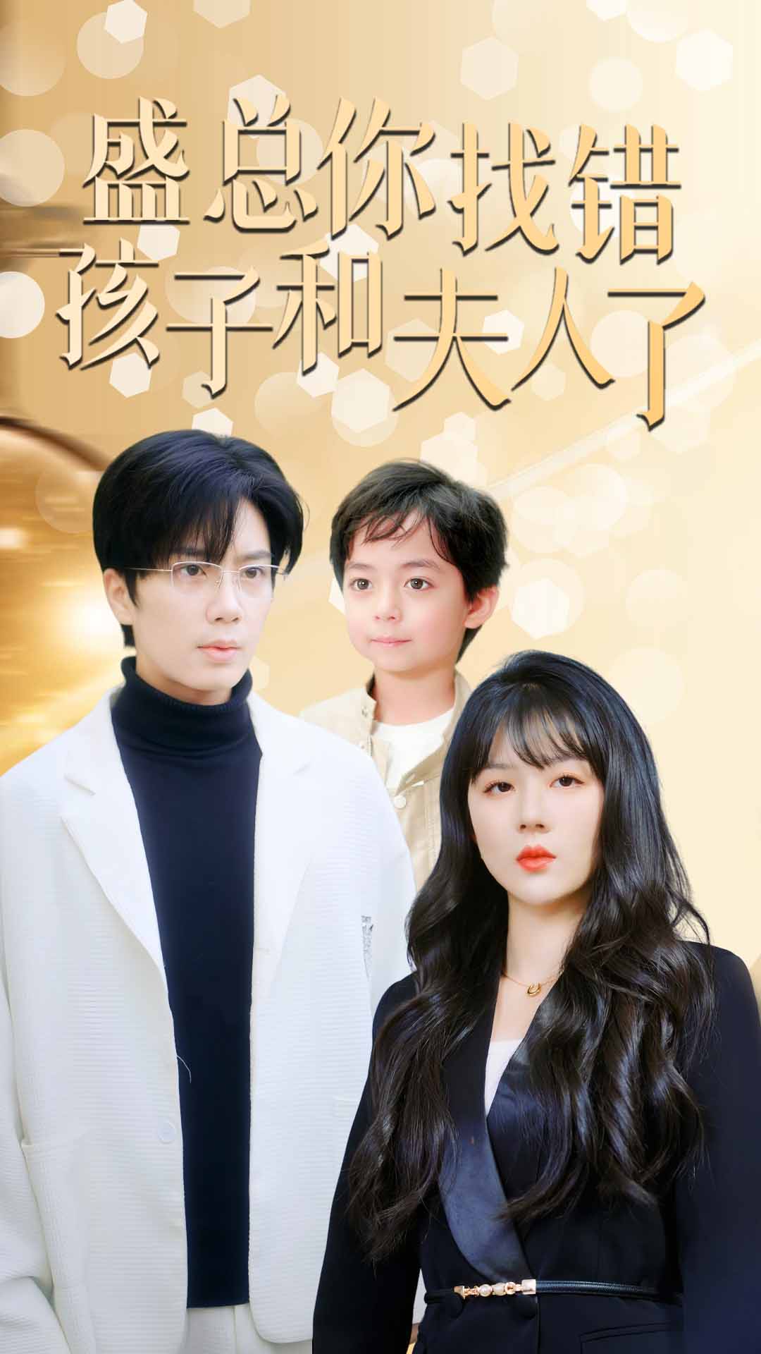 盛总你找错孩子和夫人了全集