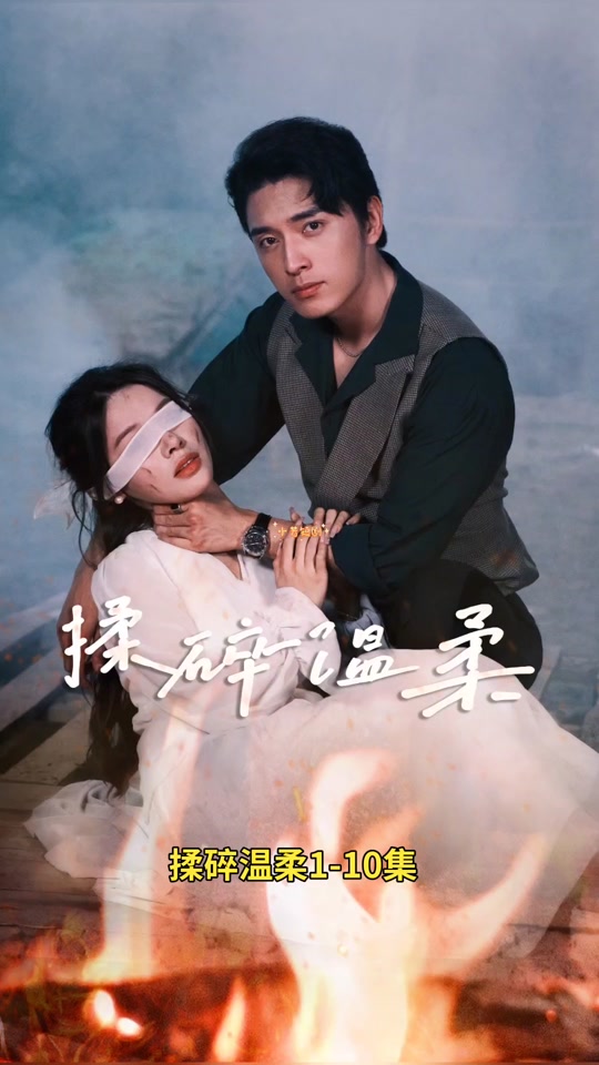 揉碎温柔全集