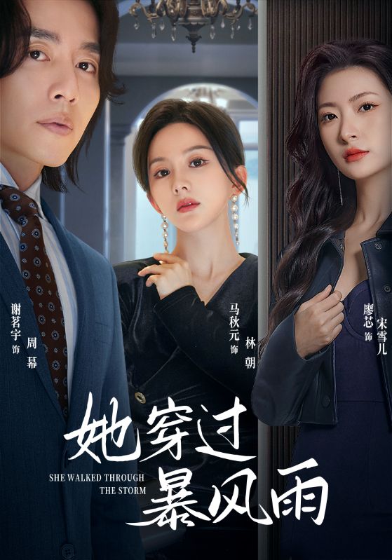 她穿过暴风雨全集