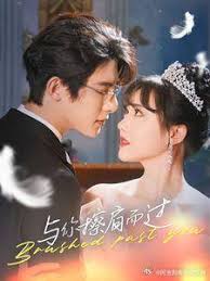 与你擦肩而过全集