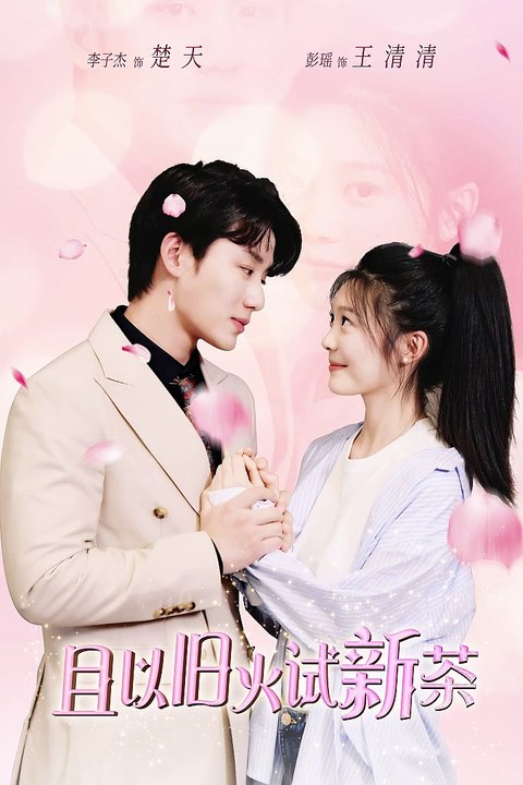 且以旧火试新茶全集