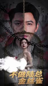 掌中玩物，不做陆总金丝雀全集