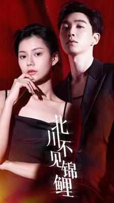 北川不见锦全集