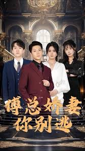 傅总娇妻你别逃全集