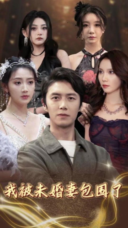 我被未婚妻包围了全集