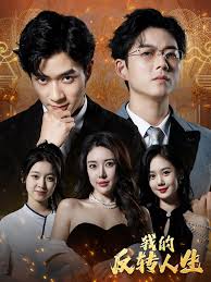 我的反转人生全集