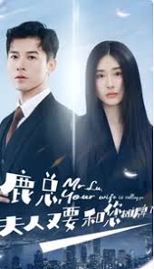 鹿总夫人又要和您摊牌了全集