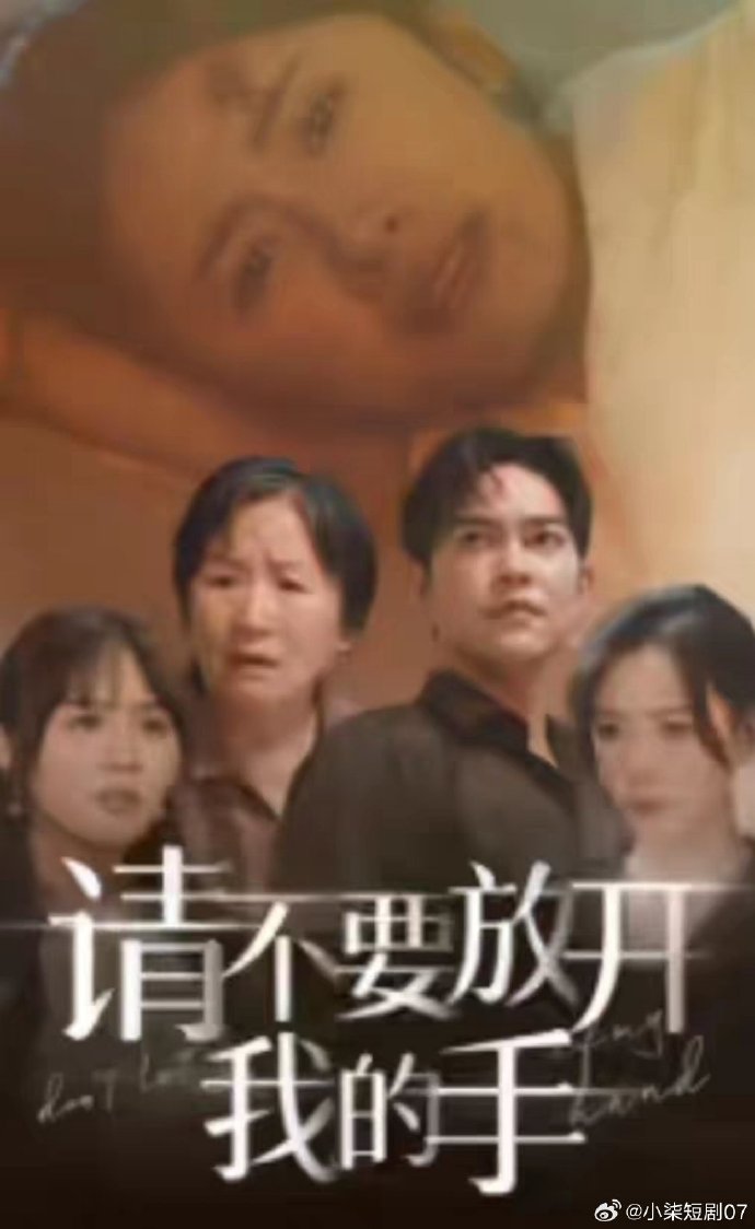 请不要放开我的手全集