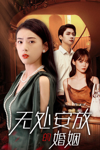 无处安放的婚姻全集