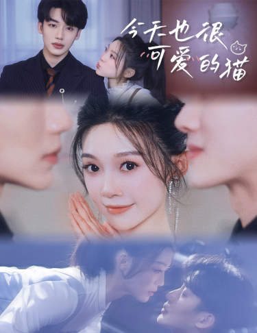 今天也很可爱的猫全集