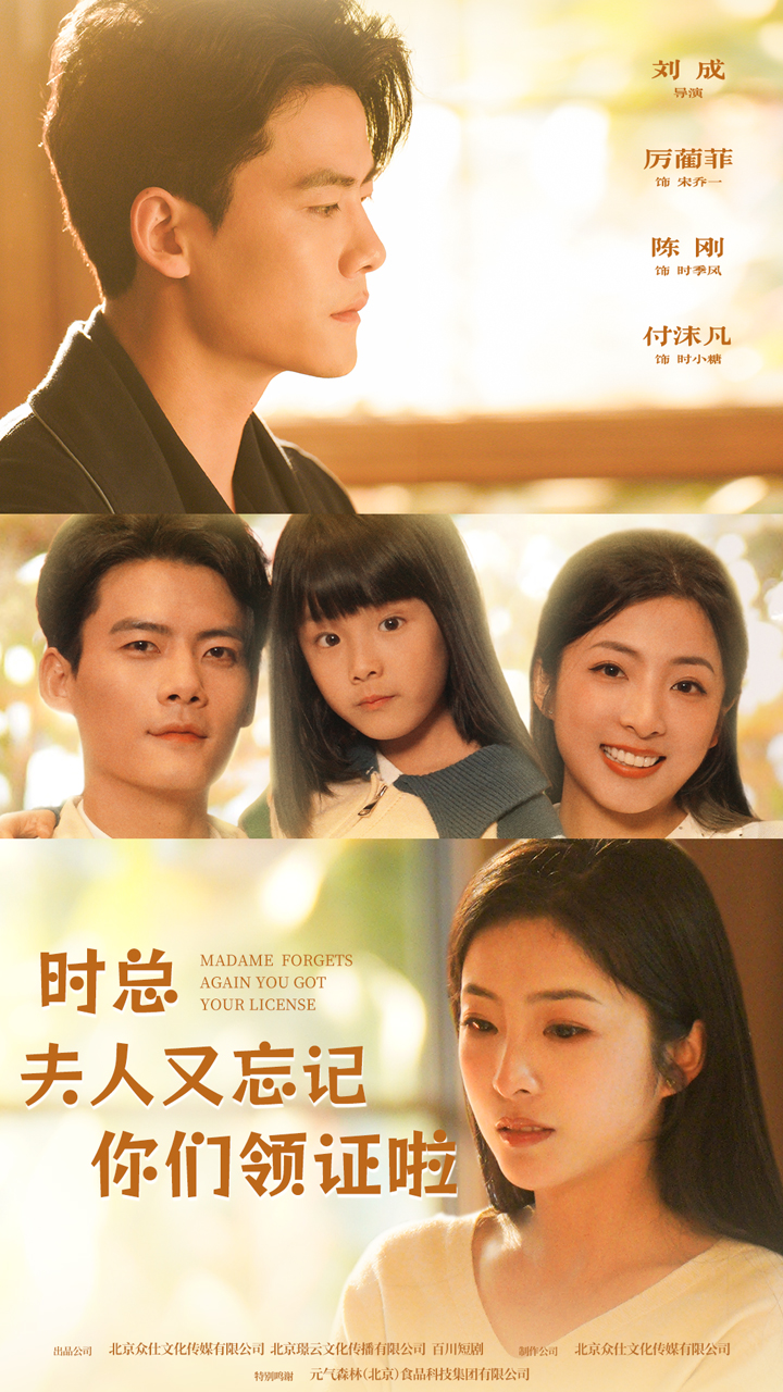 时总，夫人又忘记你们领证啦全集