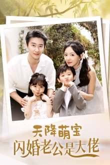 天降萌宝闪婚老公是大佬全集