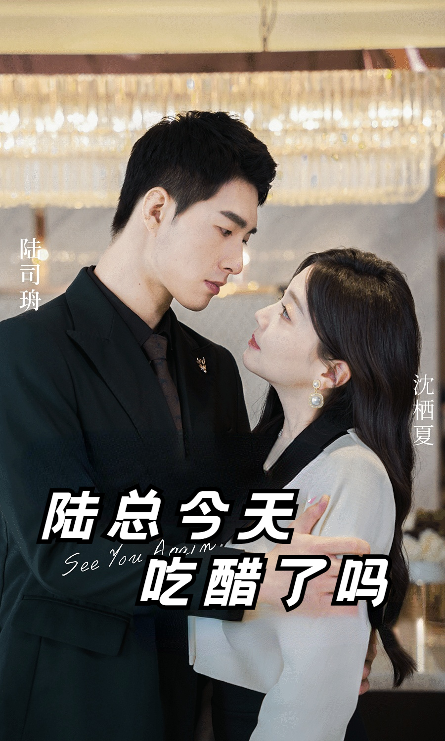 陆总今天吃醋了吗全集