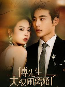 傅先生夫人又闹离婚了全集