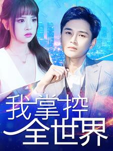 我掌控全世界全集